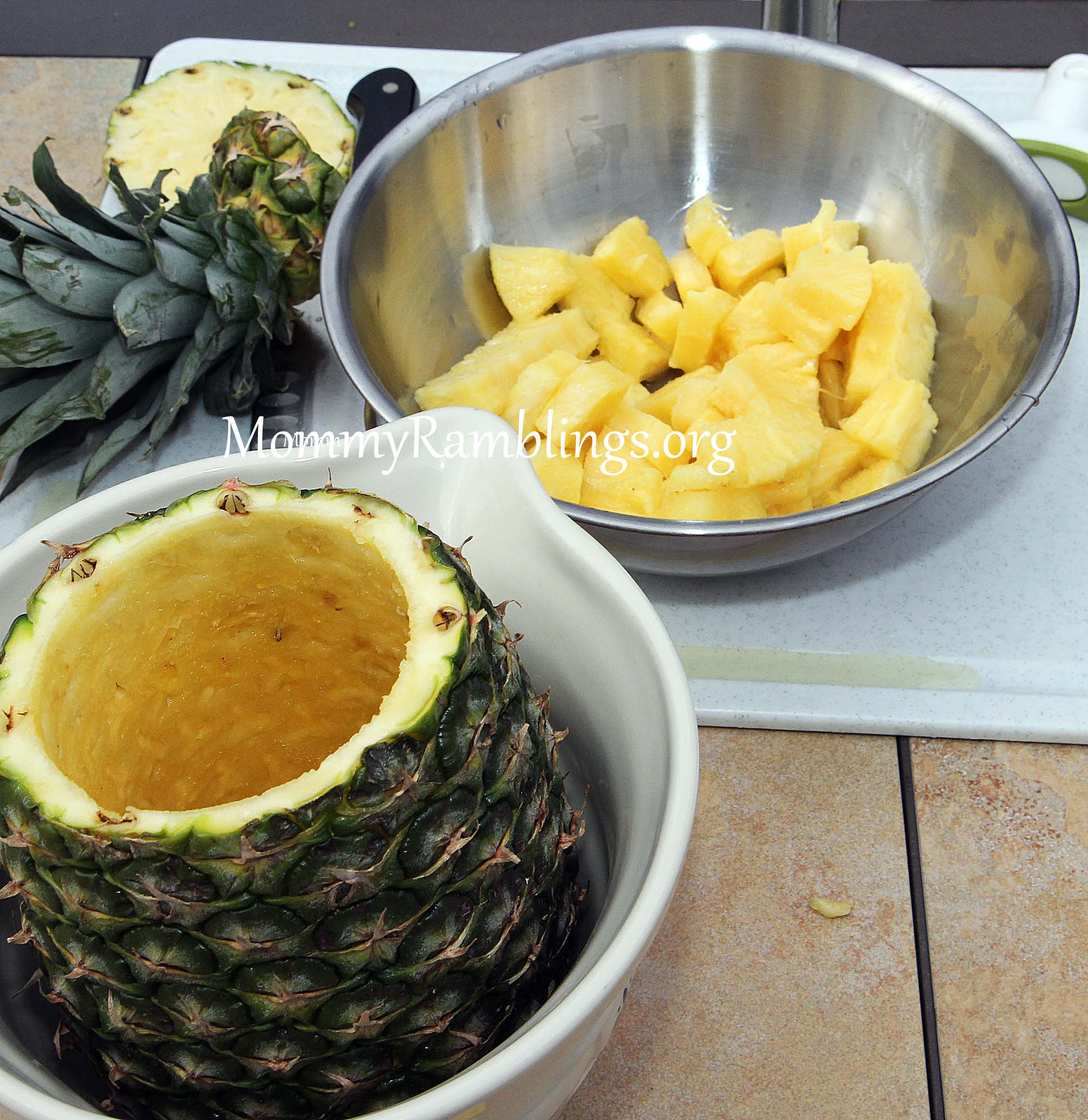 Vacu Vin Pineapple Slicer and Wedger