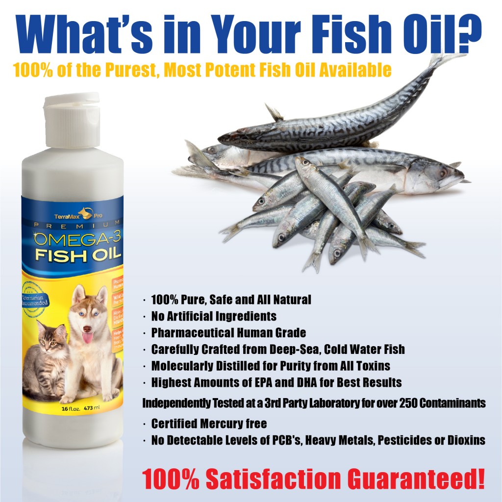 OMEGA 3 fISH OIL FOR cATS Mommy Ramblings